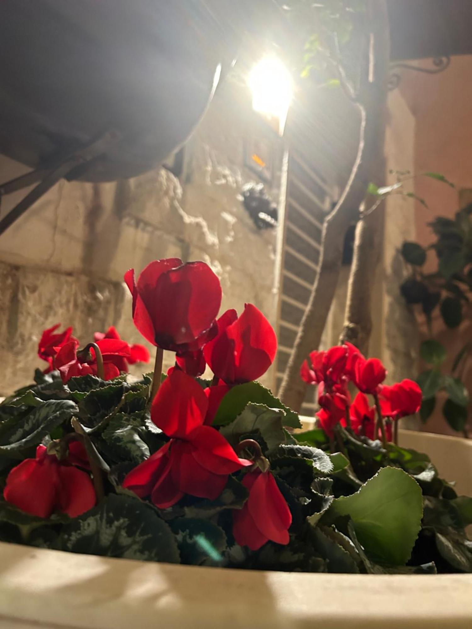 B&B Bari Vecchia R Екстериор снимка